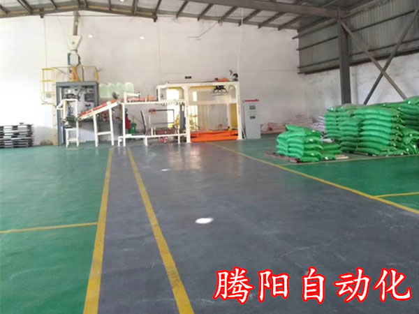 全自動(dòng)碼垛機(jī)