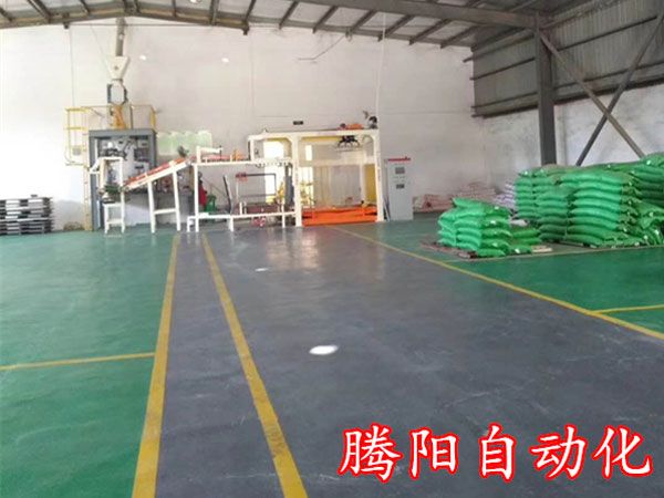 全自動(dòng)碼垛機(jī)的控制系統(tǒng)及視頻