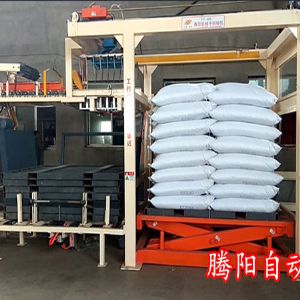全自動(dòng)碼垛機(jī)工作原理視頻演示