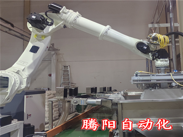 PAC拆包投料機(jī)器人